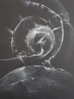 20240327_152504