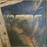 Андрей Даниел70-70-1100лв.