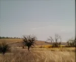 Милко Божков 50х60